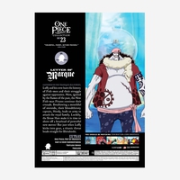 DVD ANIME ONE PIECE COMPLETE COLLECTION OF 720+ TV SERIES 721-800 EPISODES  (DHL