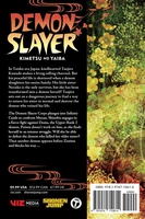 Demon Slayer: Kimetsu no Yaiba Manga Volume 17 image number 1