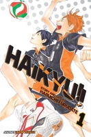 Haikyu!! Manga Volume 1 image number 0