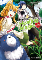 The Wrong Way to Use Healing Magic Manga Volume 3 image number 0