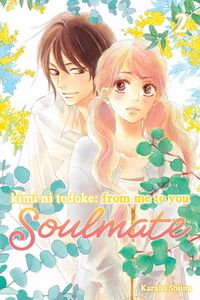 Kimi ni Todoke: From Me to You: Soulmate Manga Volume 2