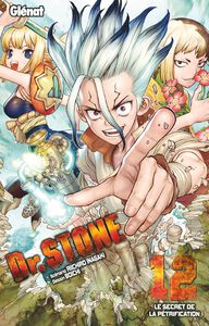 DR STONE Band 12 (Französisch)