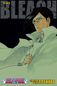 BLEACH 3-in-1 Edition Manga Volume 24