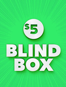 $5 Blind Box Bargain Item