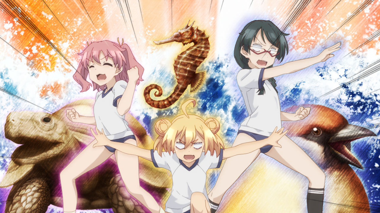 piZ04-093 image number 3