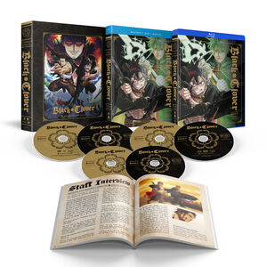 Black Clover - Season 4 - Limited Edition - Blu-ray + DVD