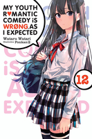 My Youth Romantic Comedy Is Wrong, As I Expected Novel Volume 12 image number 0