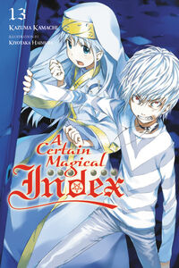 A Certain Magical Index Novel Volume 13