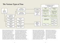 A Beginner's Guide to Japanese Tea image number 3