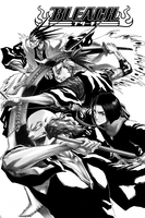 BLEACH Manga Volume 17 image number 3
