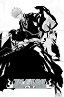BLEACH Manga Volume 55 image number 5