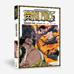 One Piece - Voyage 6 - Season 5 - DVD