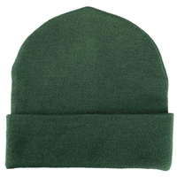 Attack on Titan - Scout Regiment Beanie image number 1