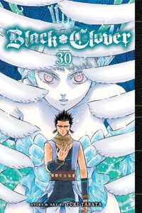 Black Clover Manga Volume 30