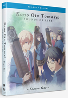 DVD Anime Kono Oto Tomare! (Stop This Sound!) TV Series (1-13 end