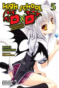High School DxD Novel Volume 5