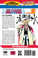 BLEACH Manga Volume 13 image number 1