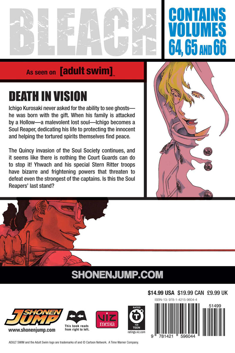 BLEACH 3-in-1 Edition Manga Volume 22 image number 1