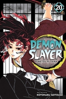 Demon Slayer: Kimetsu no Yaiba Manga Volume 20 image number 0