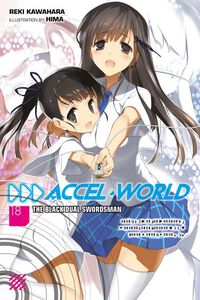 Accel World Novel Volume 18