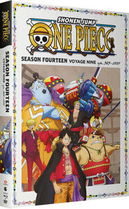One Piece - Season 14 Voyage 9 - Blu-ray + DVD