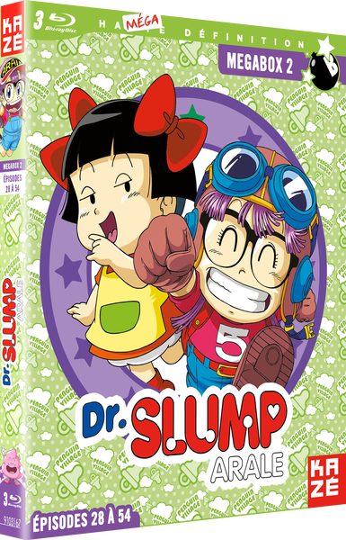 3700091031682_DR-SLUMP-BR-box2