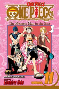 One Piece Manga Volume 11
