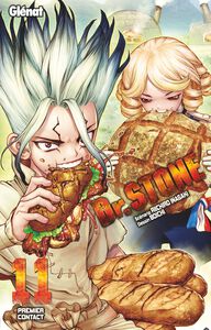 DR STONE Band 11 (Französisch)