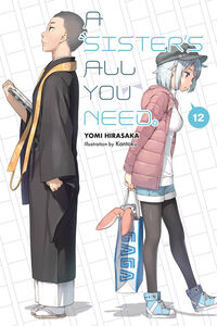 A Sister's All You Need Novel Volume 12