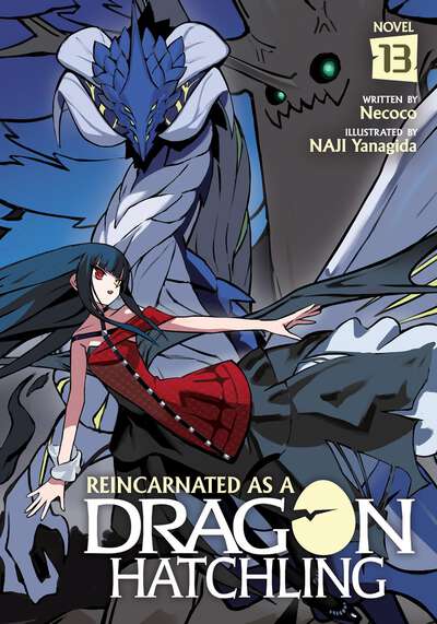 Reincarnated as a Dragon Hatchling Novel Volume 13