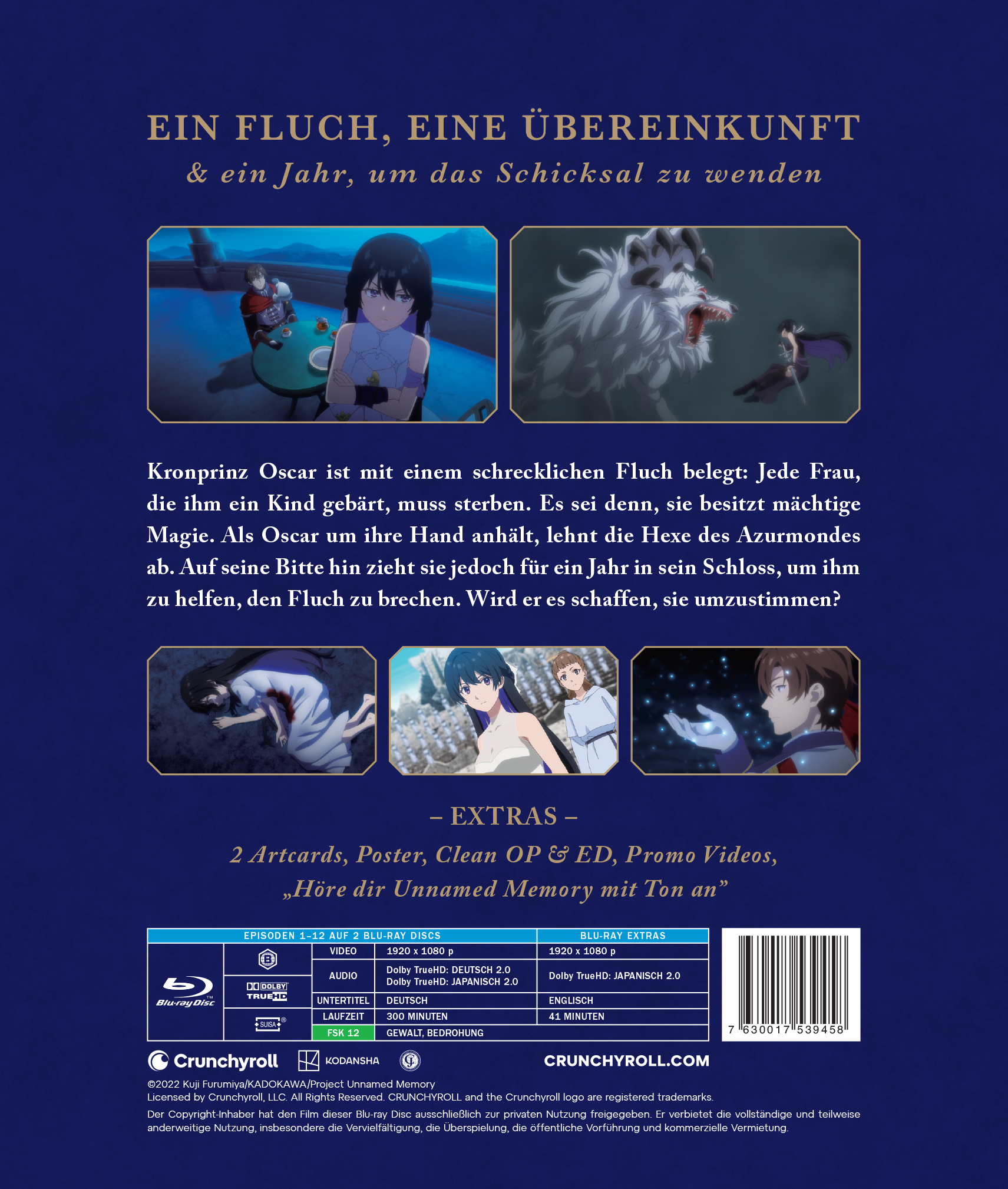 UnnamedMemory-DE-S1-BD image number 1