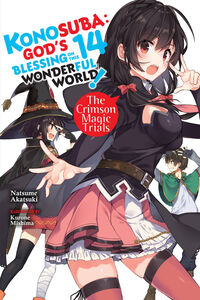 Konosuba: God's Blessing on This Wonderful World! Novel Volume 14