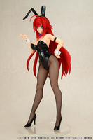 Rias Gremory (3rd-run) Bunny Ver High School DxD BorN Figure image number 5