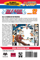 BLEACH Manga Volume 12 image number 1
