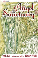 angel-sanctuary-graphic-novel-13 image number 0
