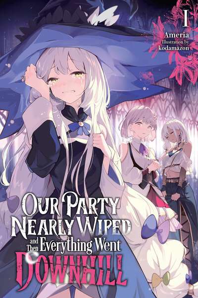 Our Party Nearly Wiped and Then Everything Went Downhill Novel Volume 1