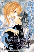 Black Bird Manga Volume 4 image number 0