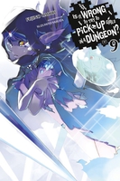 Is It Wrong to Try to Pick Up Girls in a Dungeon? Novel Volume 9 image number 0