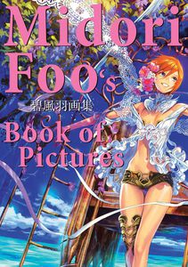 Midori Foo's Book of Pictures Art Book