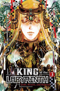 King of the Labyrinth Novel Volume 3 (Hardcover)