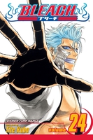BLEACH Manga Volume 24 image number 0