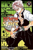 Demon Slayer: Kimetsu no Yaiba Manga Volume 17 image number 0