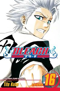 BLEACH Manga Volume 16