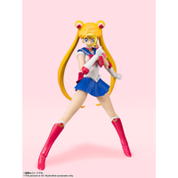 Sailor Moon - Sailor Moon Figure (Animation Color Ver.) image number 1