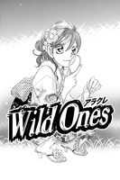 wild-ones-graphic-novel-7 image number 2