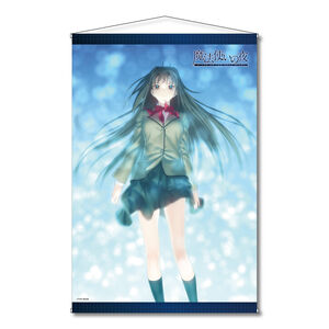 Aoko Aozaki Magus Ver Witch on the Holy Night Tapestry