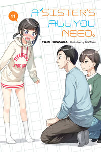 A Sister's All You Need Novel Volume 11