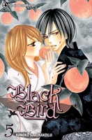Black Bird Manga Volume 5 image number 0