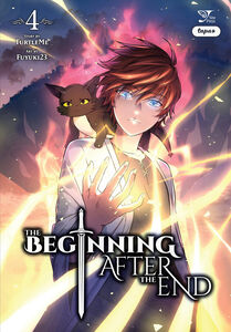 The Beginning After the End Manhwa Volume 4