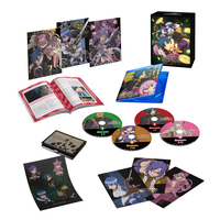 The Dungeon of Black Company Limited Edition Blu-ray/DVD image number 1